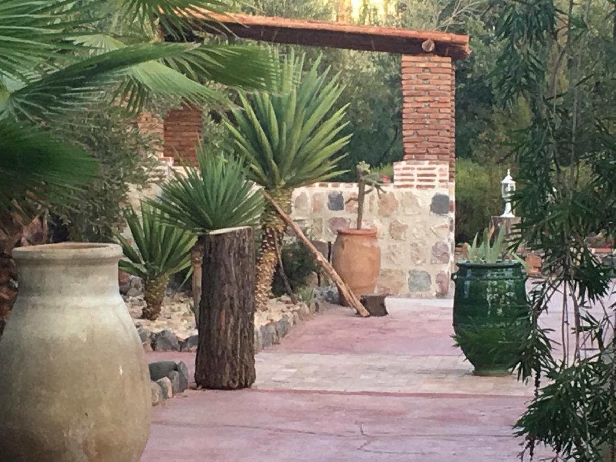 Sel D Ailleurs, Atlas Mountain Retreat - Adults Only Ouirgane Εξωτερικό φωτογραφία