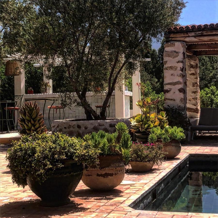Sel D Ailleurs, Atlas Mountain Retreat - Adults Only Ouirgane Εξωτερικό φωτογραφία