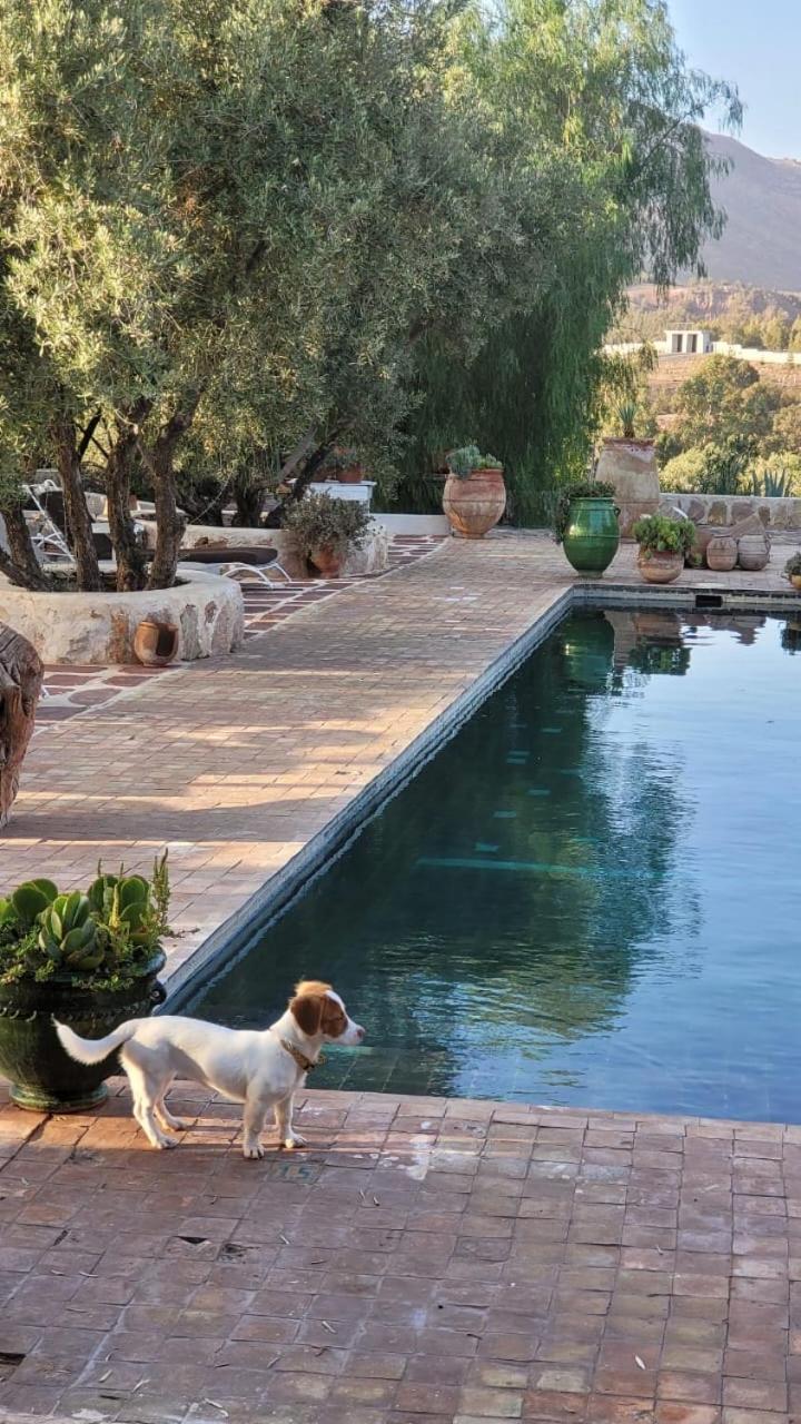 Sel D Ailleurs, Atlas Mountain Retreat - Adults Only Ouirgane Εξωτερικό φωτογραφία