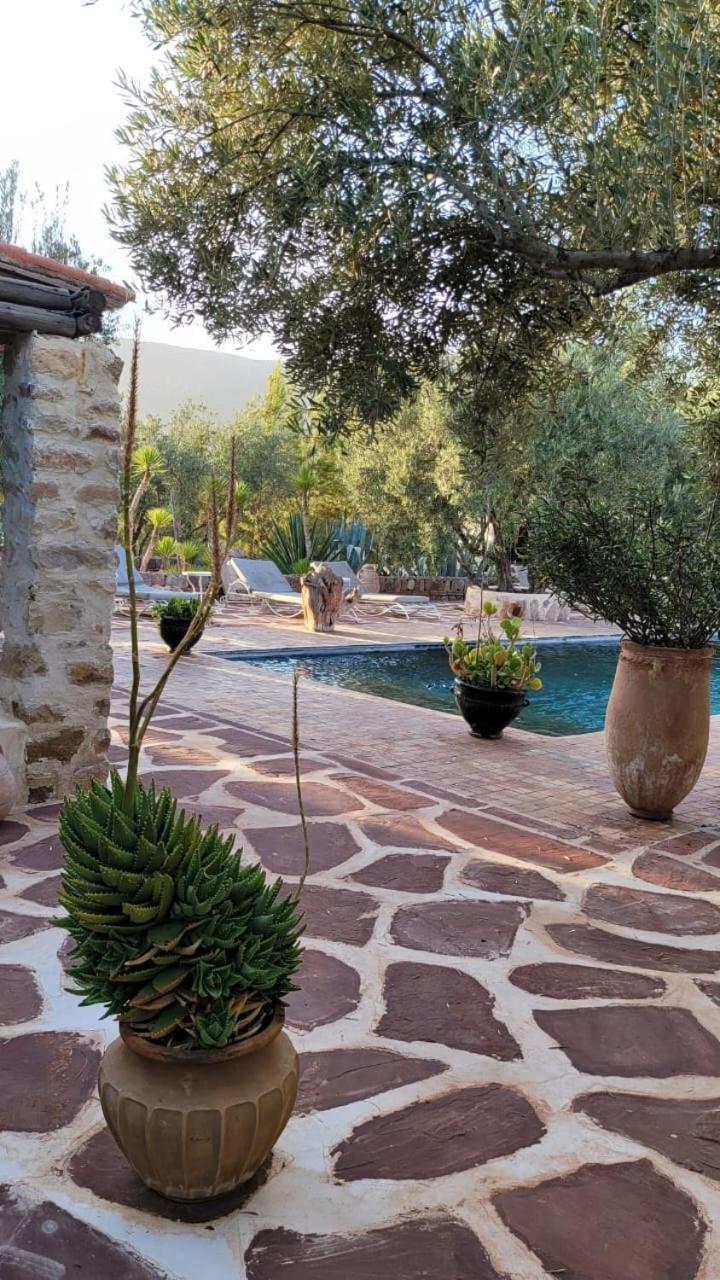 Sel D Ailleurs, Atlas Mountain Retreat - Adults Only Ouirgane Εξωτερικό φωτογραφία
