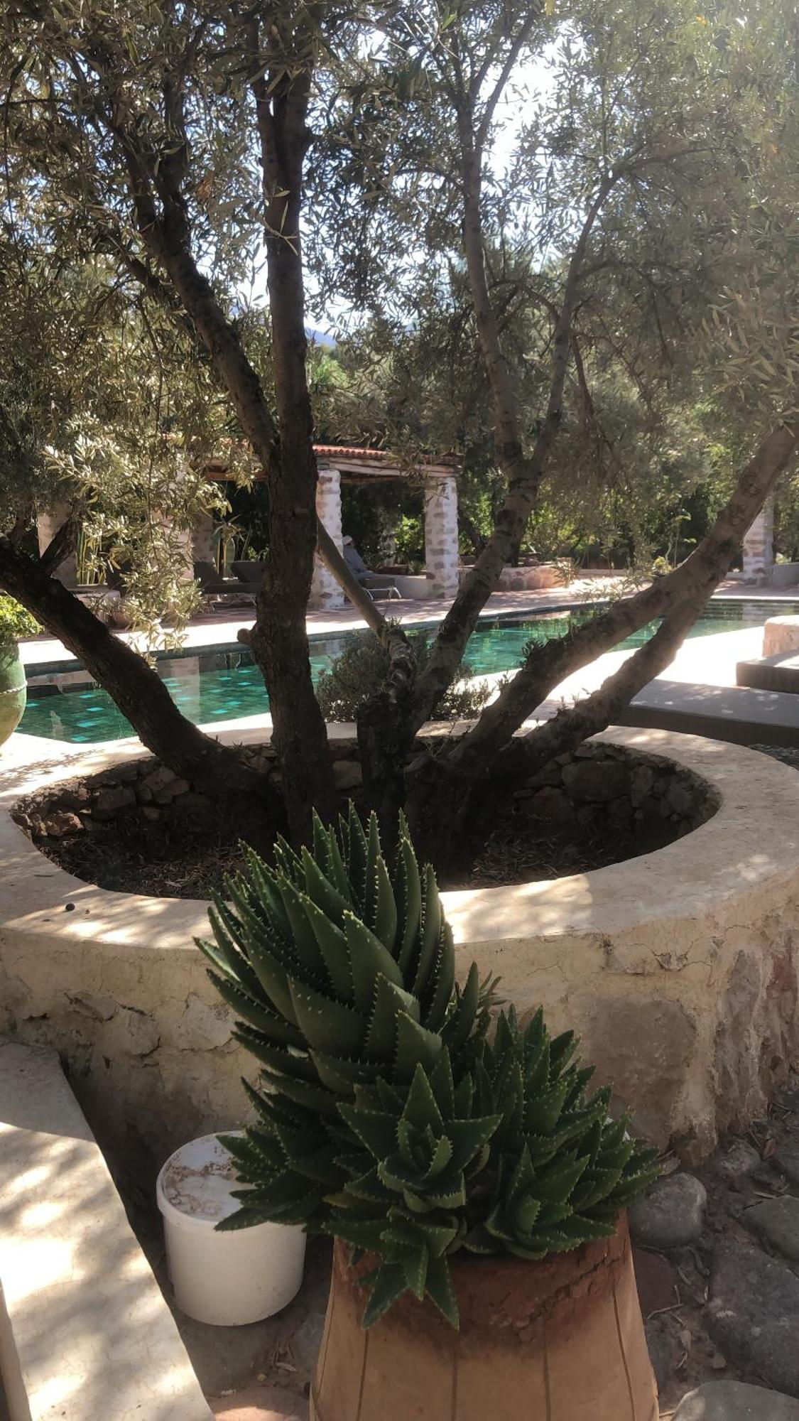 Sel D Ailleurs, Atlas Mountain Retreat - Adults Only Ouirgane Εξωτερικό φωτογραφία