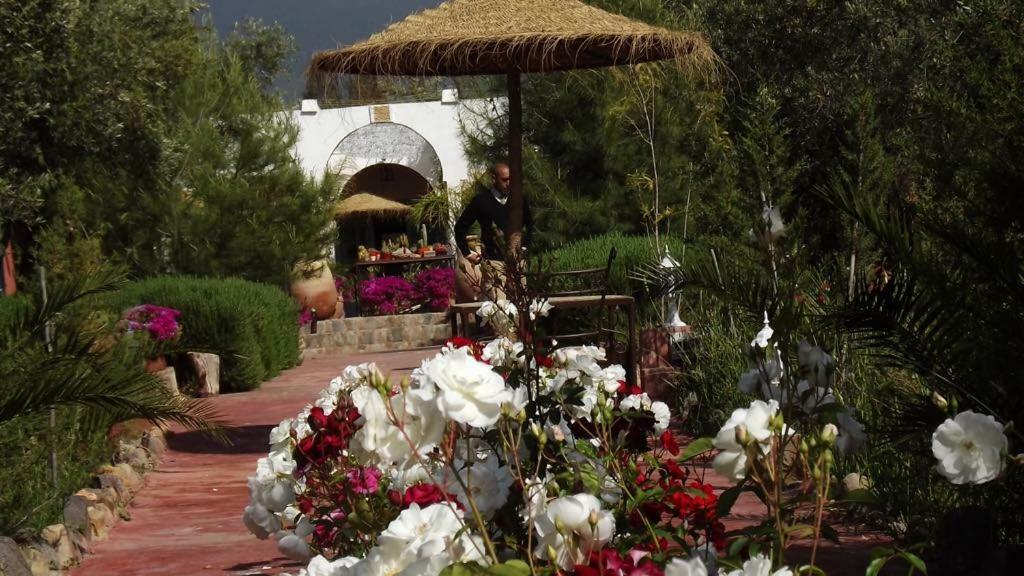 Sel D Ailleurs, Atlas Mountain Retreat - Adults Only Ouirgane Εξωτερικό φωτογραφία