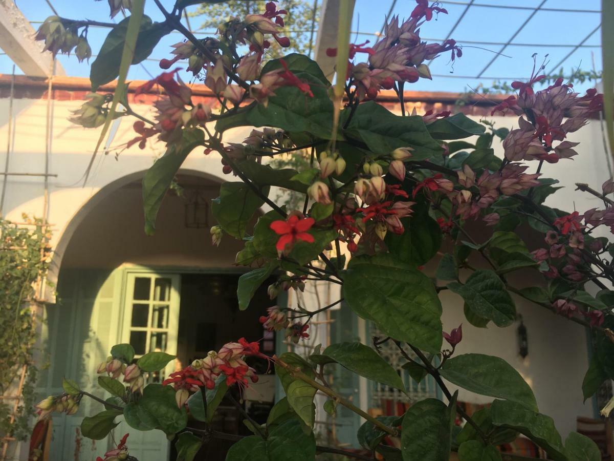 Sel D Ailleurs, Atlas Mountain Retreat - Adults Only Ouirgane Εξωτερικό φωτογραφία