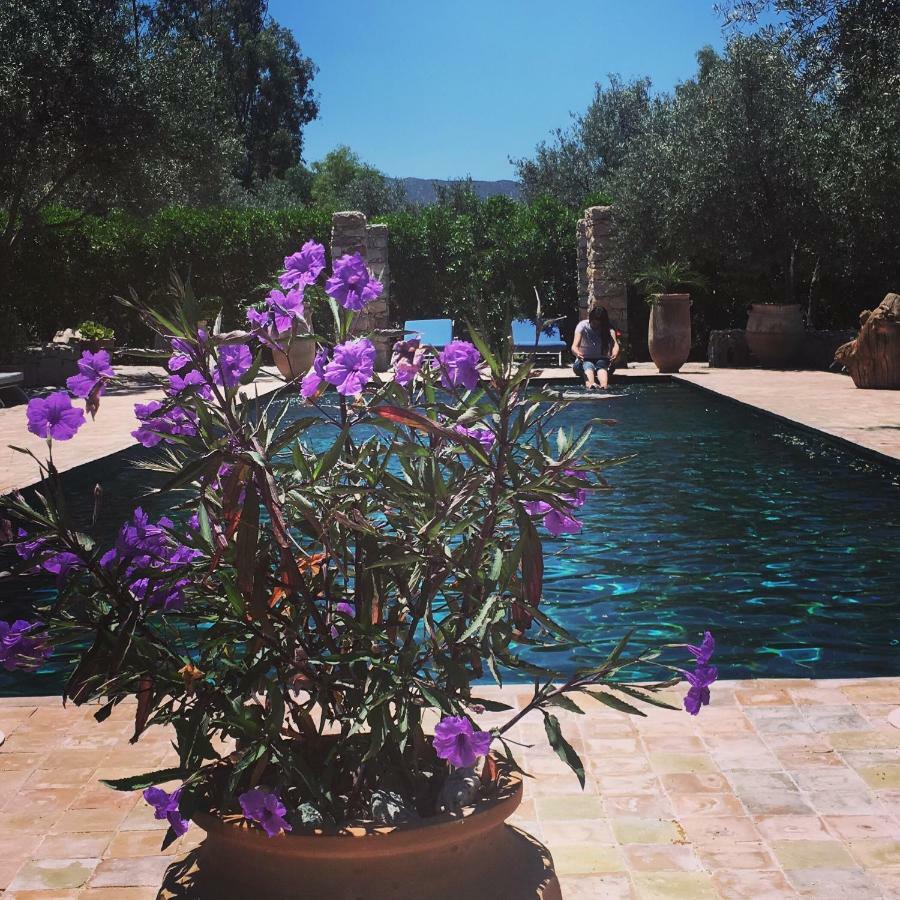 Sel D Ailleurs, Atlas Mountain Retreat - Adults Only Ouirgane Εξωτερικό φωτογραφία
